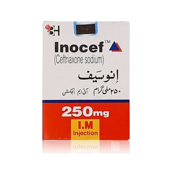 Inocef Injection Im 250mg 1 Vial – Medical Bazar
