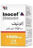 Inocef Injection Iv 1000mg 1 Vial – Medical Bazar