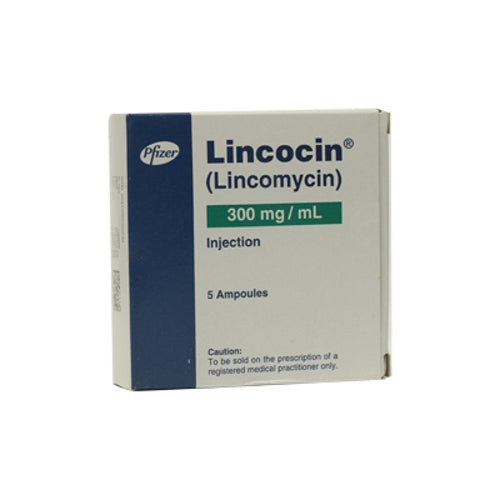 Lincocin Injection 300mg 5 Ampoules X 1ml – Medical Bazar